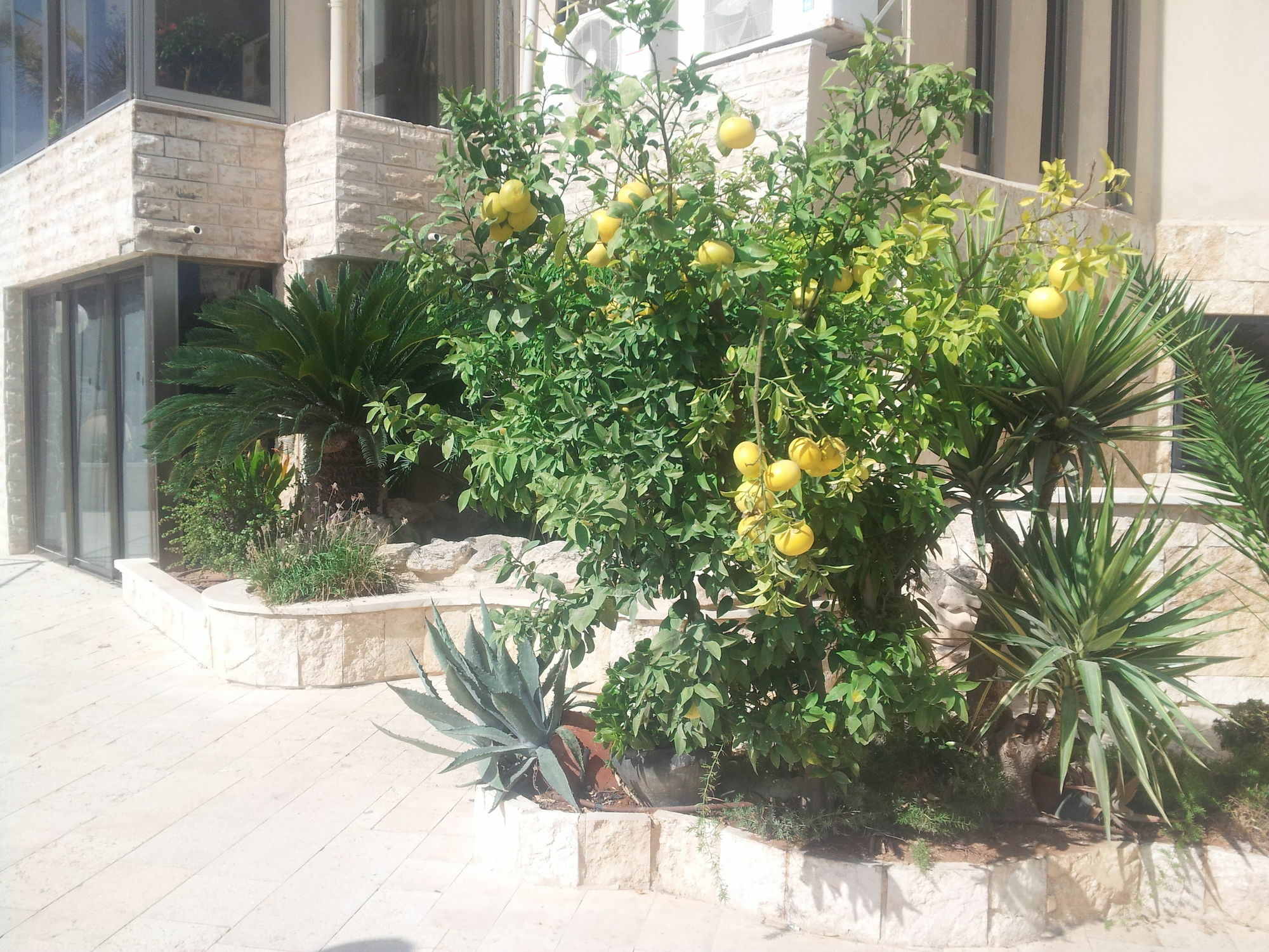 Marom Residence Romema Haifa Luaran gambar